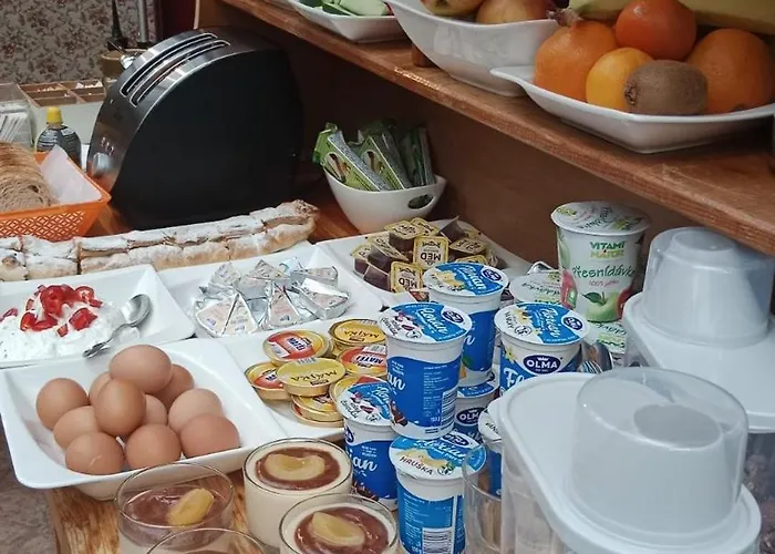 Nika Gæstehus Český Krumlov